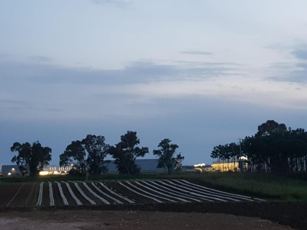 Agriturismo Il Casale ポンテ・ガレリア エクステリア 写真