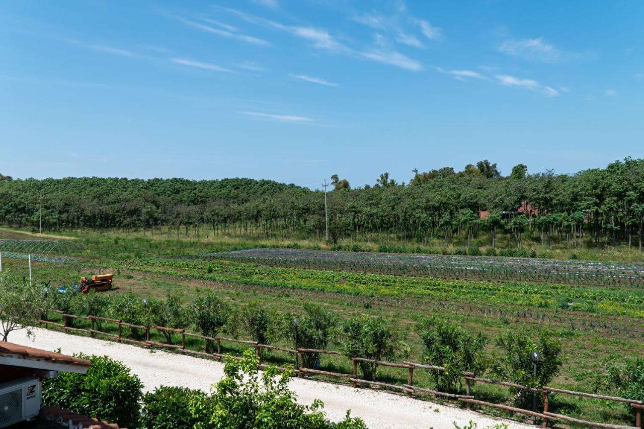 Agriturismo Il Casale ポンテ・ガレリア エクステリア 写真